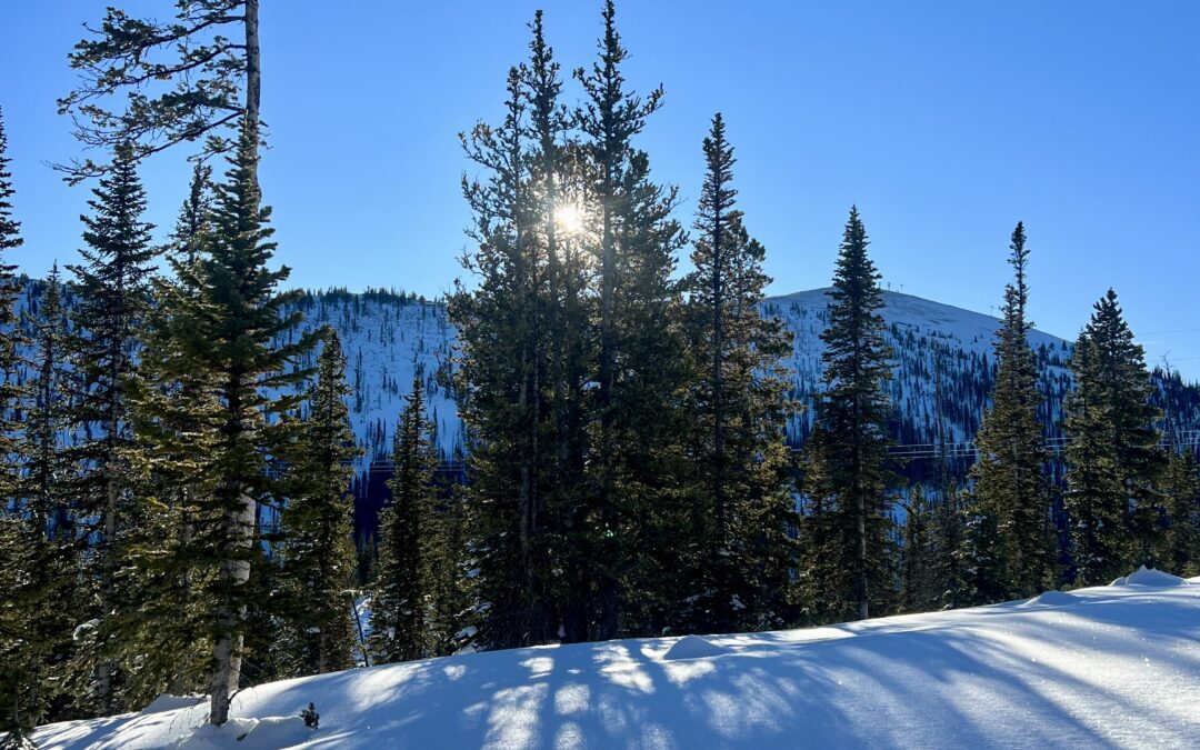 Old Monarch Pass XC trek on a bluebird mornin…