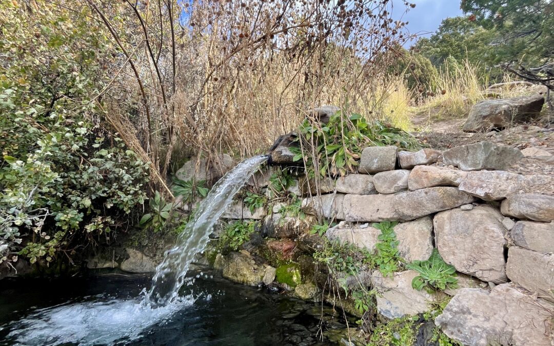 Valley View Hot Springs, just 45 minutes from Salida